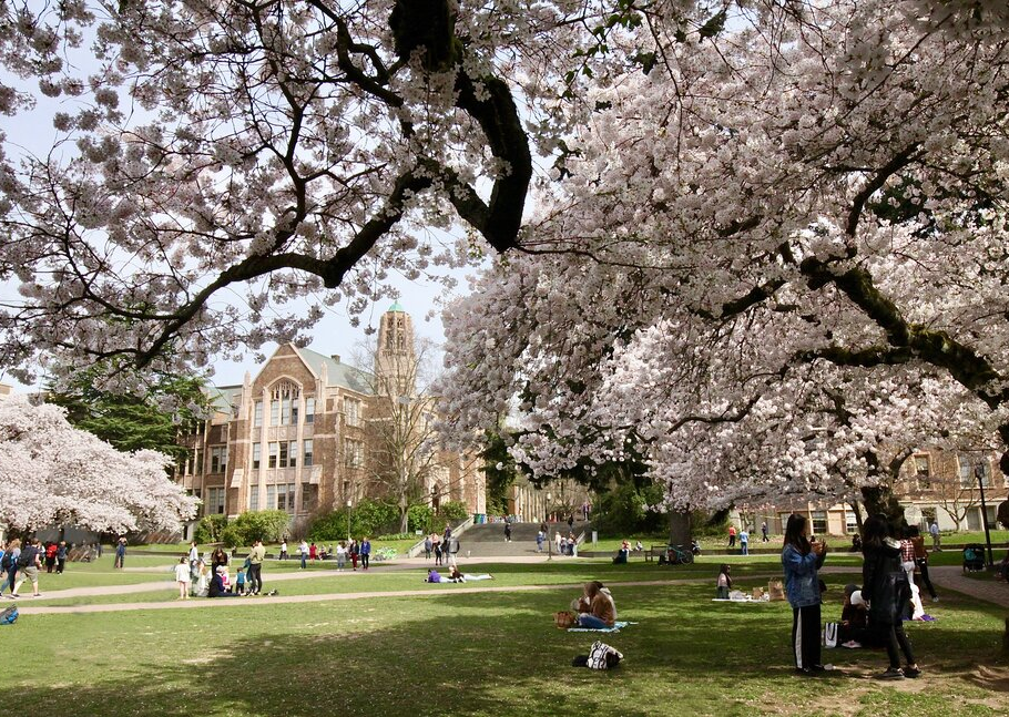 College和University之间的区别，怎样选择一所适合自己的大学呢？